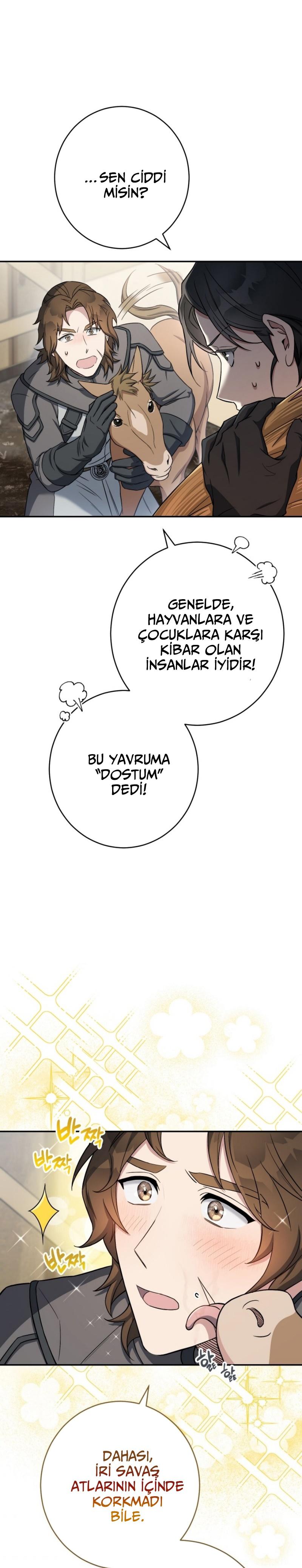 29-cmc1vvo430025phxcd4xhnki2