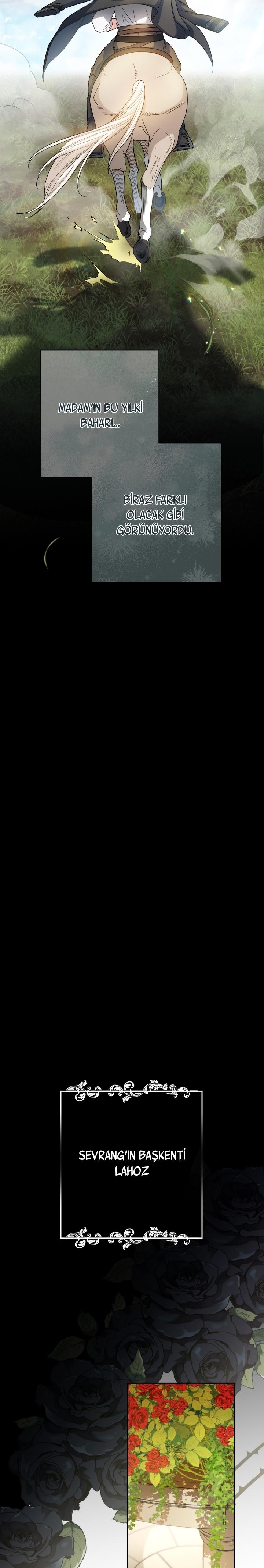 41-cmc1vvo430025phxcd4xhnki2