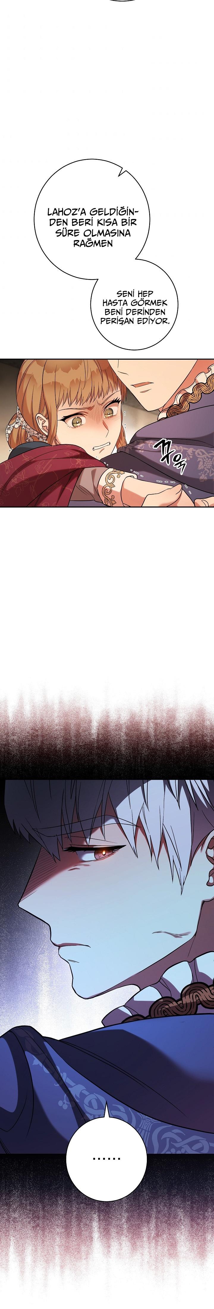 3-cmc1vvo430025phxcd4xhnki2