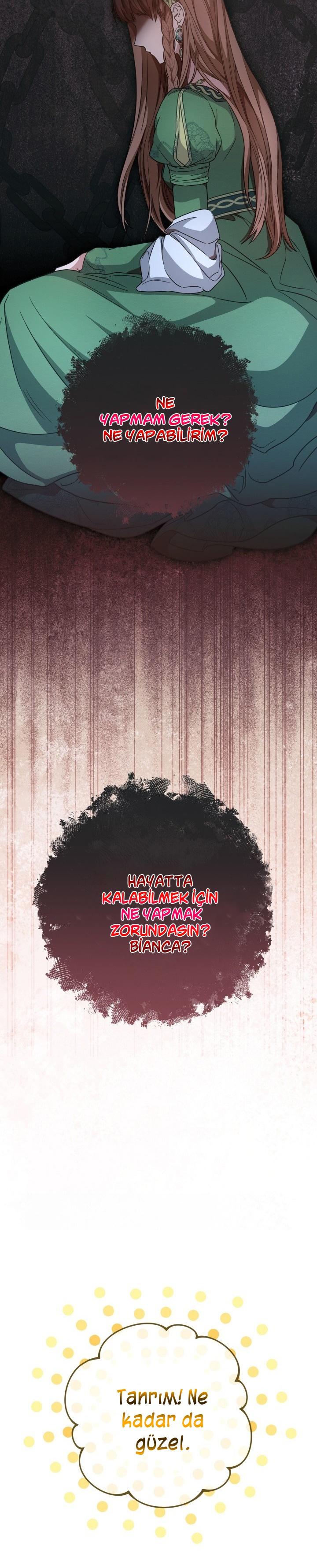 37-cmc1vvo430025phxcd4xhnki2