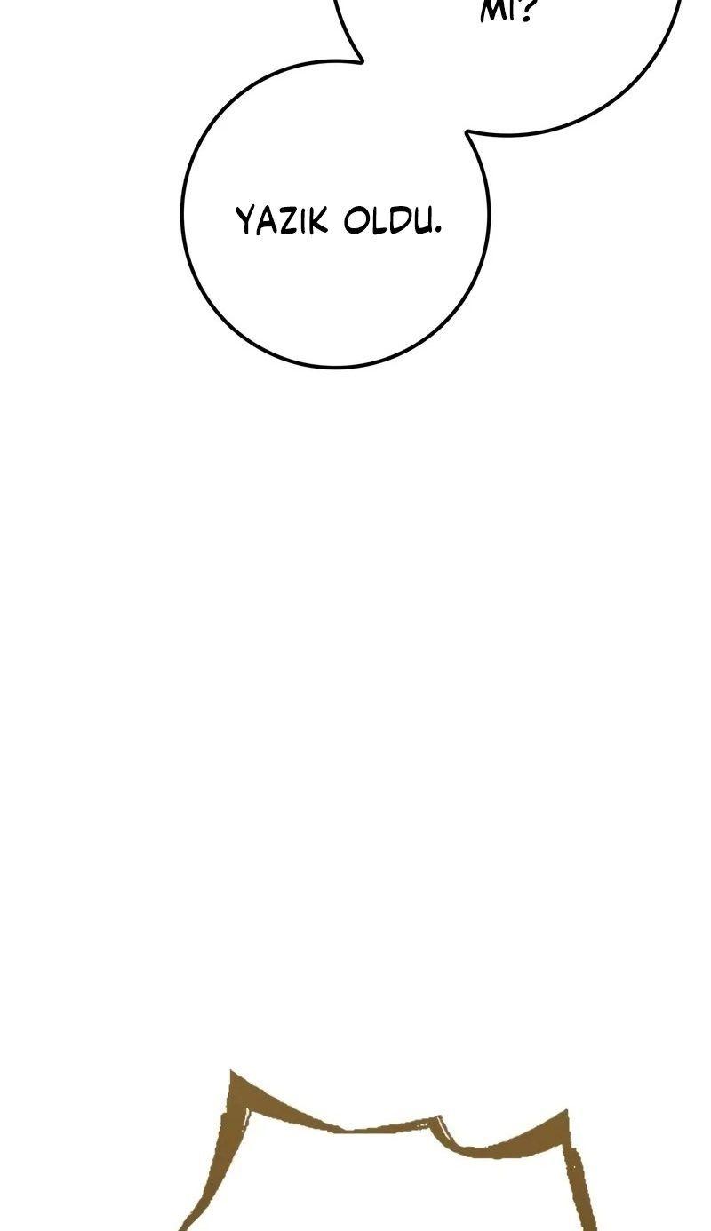 74-cmnq2268807i4ucwa0pciz3a1