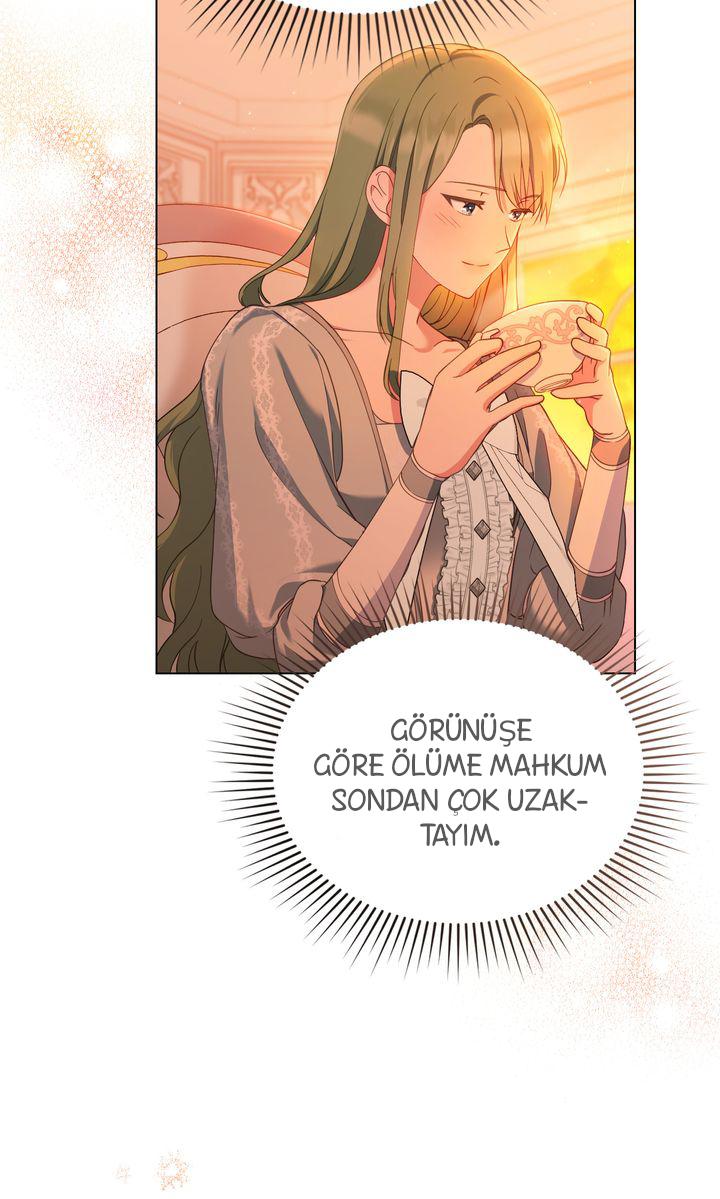 50-cmc1vvo430025phxcd4xhnki2