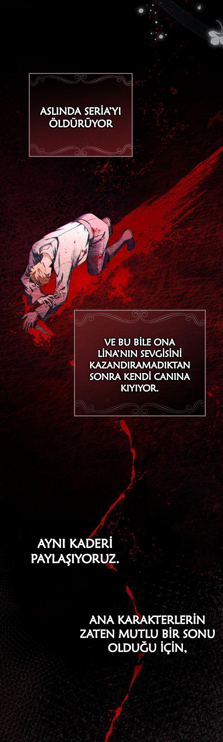 8-cmc1vvo430025phxcd4xhnki2