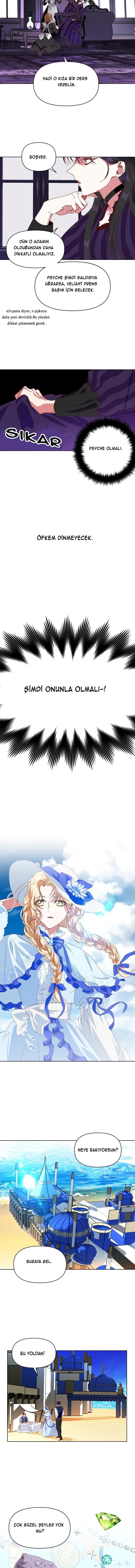 8-cmc1vvo430025phxcd4xhnki2
