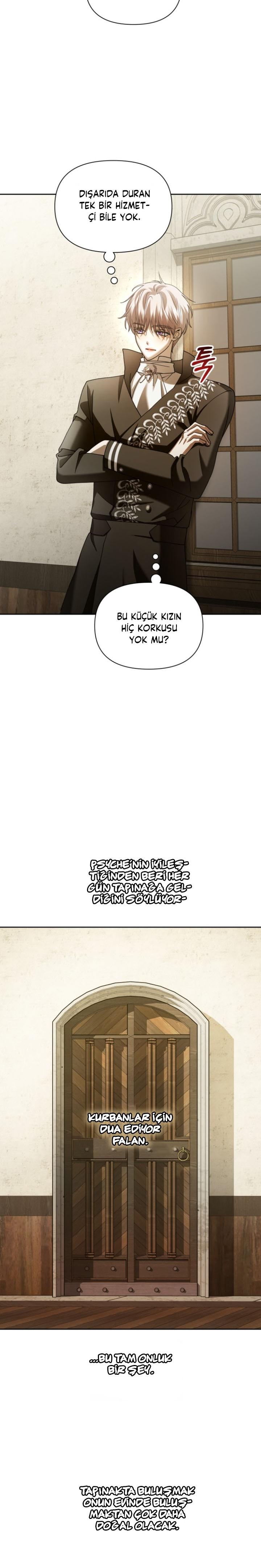 15-cmc1vvo430025phxcd4xhnki2