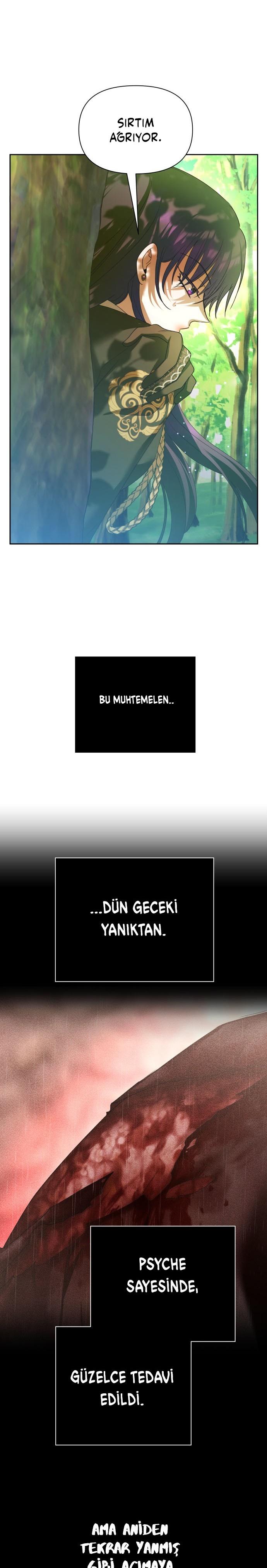 31-cmc1vvo430025phxcd4xhnki2