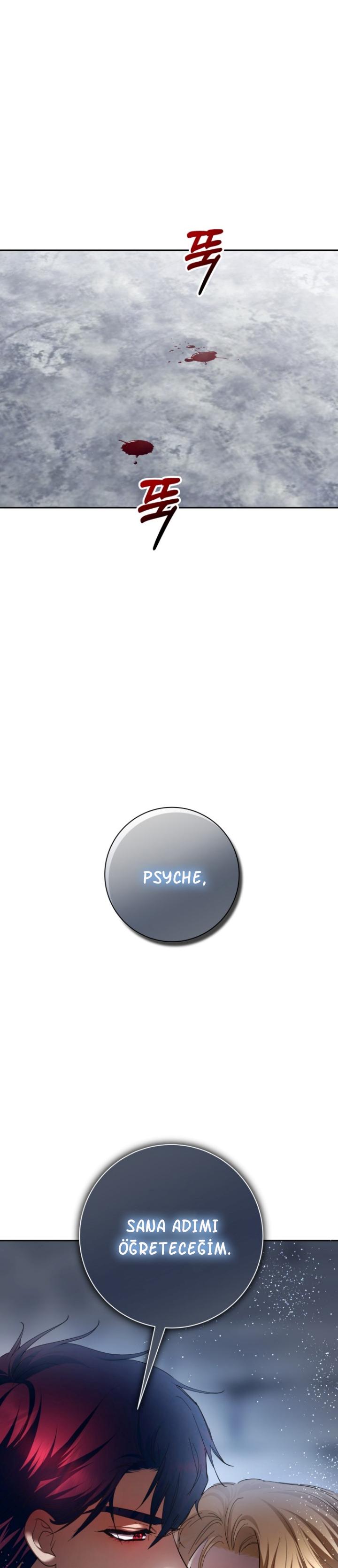 13-cmc1vvo430025phxcd4xhnki2