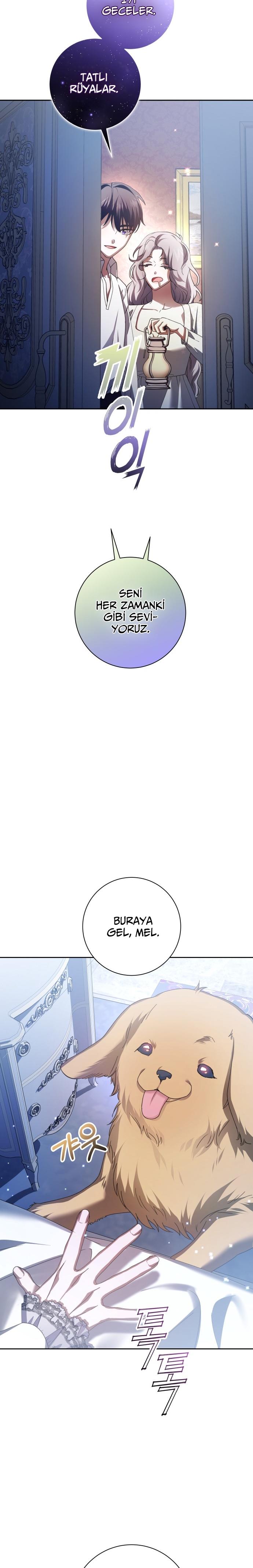 42-cmc1vvo430025phxcd4xhnki2