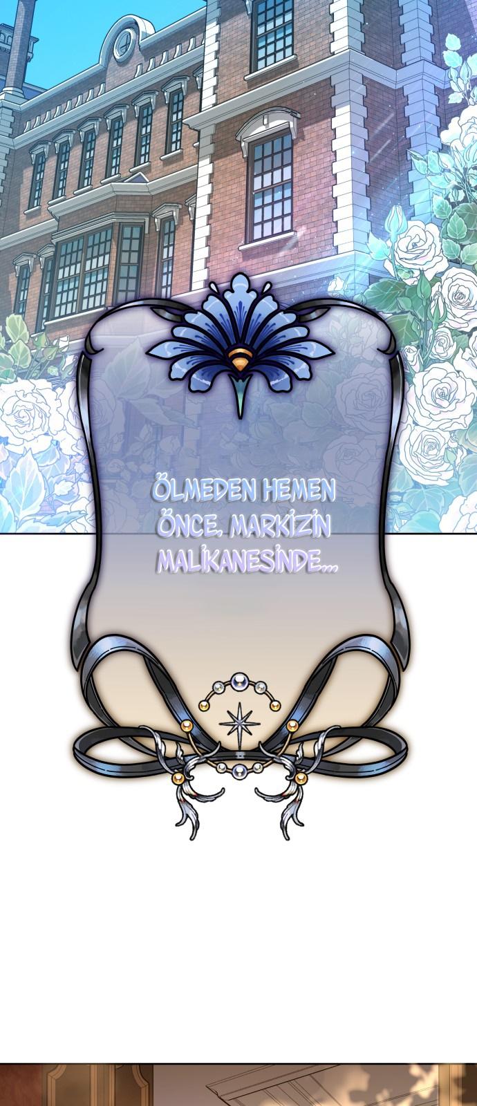 14-cmc1vvo430025phxcd4xhnki2