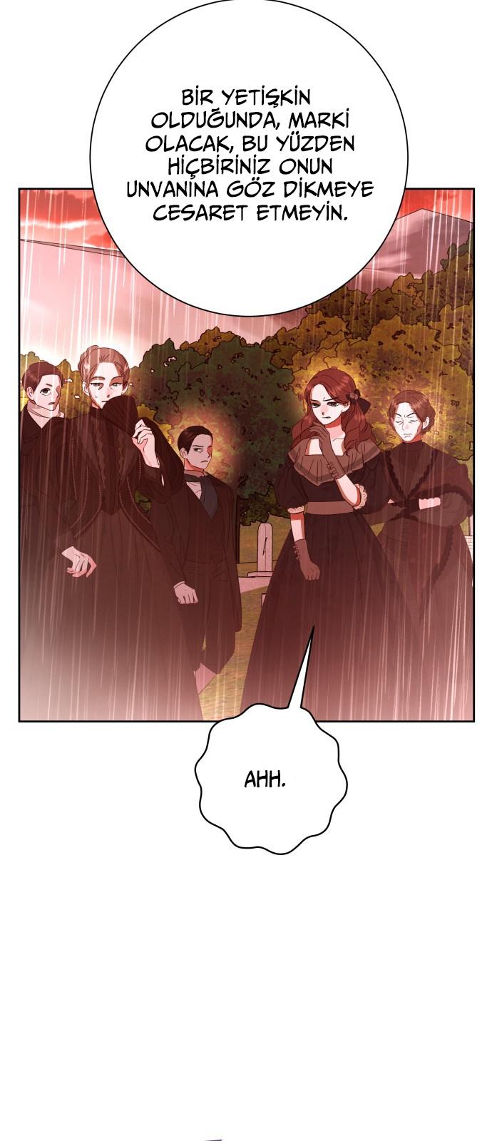 74-cmc1vvo430025phxcd4xhnki2