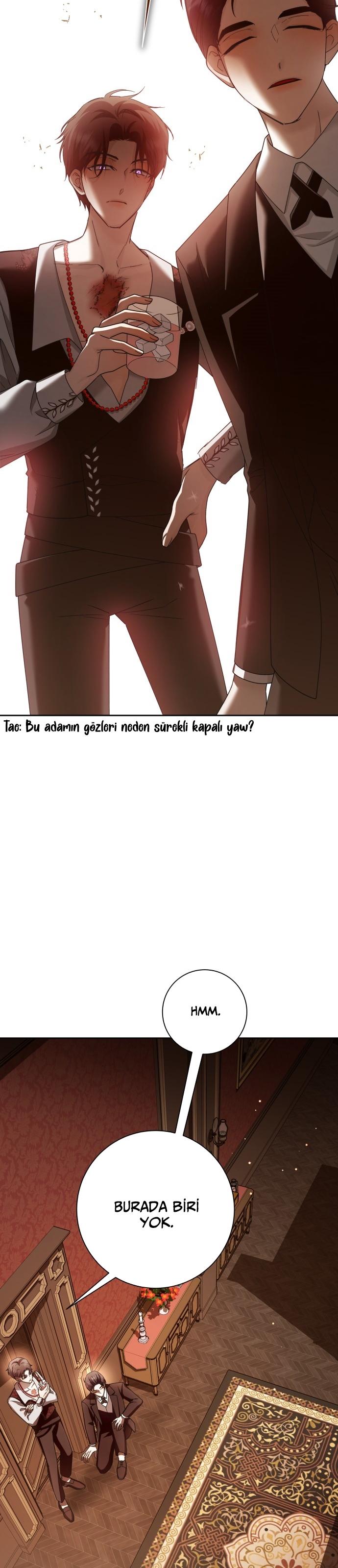 5-cmc1vvo430025phxcd4xhnki2