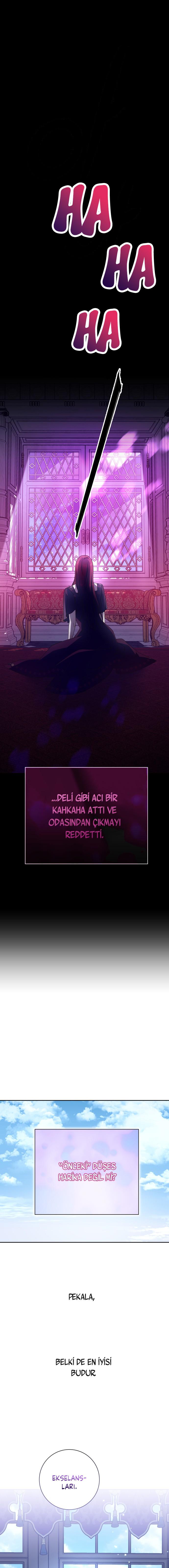 48-cmc1vvo430025phxcd4xhnki2