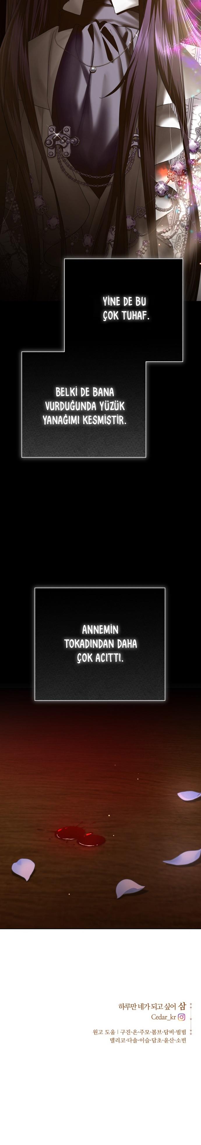 50-cmc1vvo430025phxcd4xhnki2