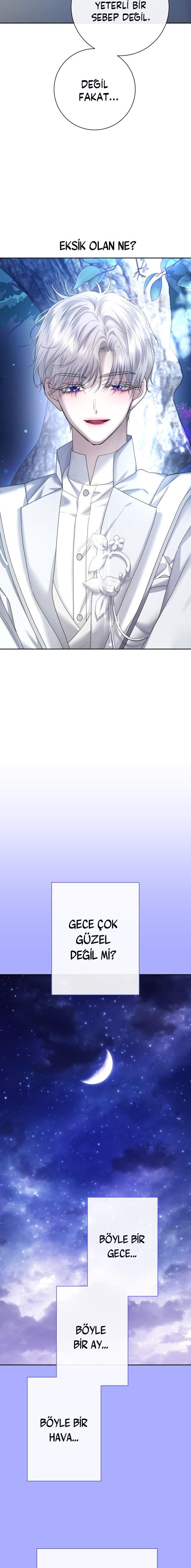 2-cmc1vvo430025phxcd4xhnki2