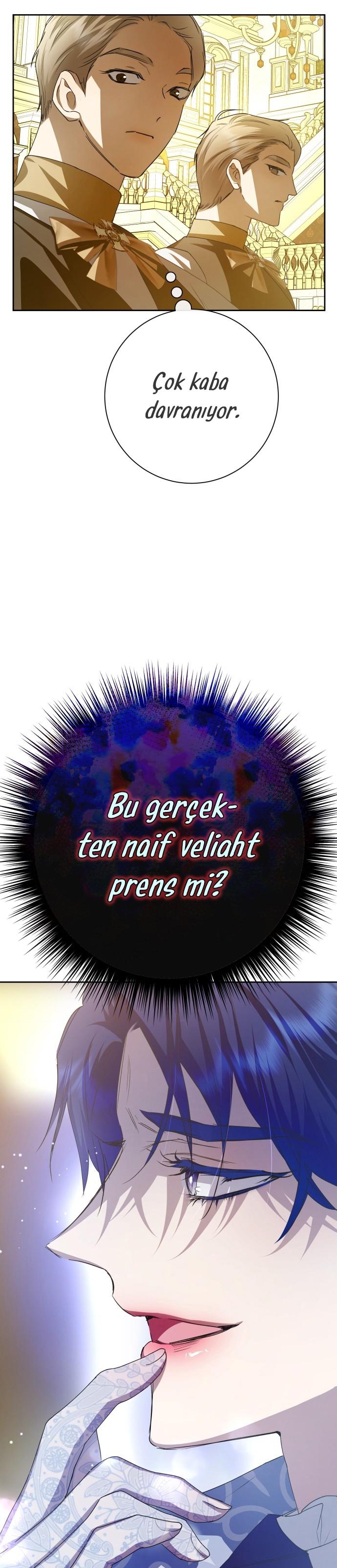 37-cmc1vvo430025phxcd4xhnki2