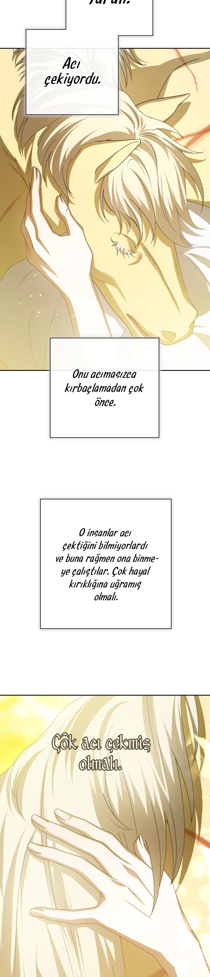 8-cmc1vvo430025phxcd4xhnki2