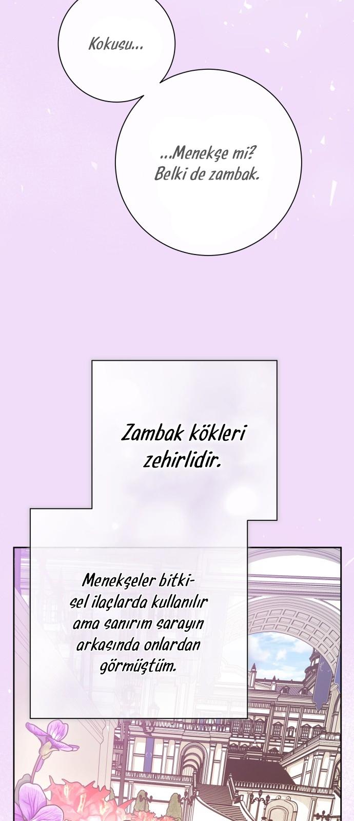 20-cmc1vvo430025phxcd4xhnki2