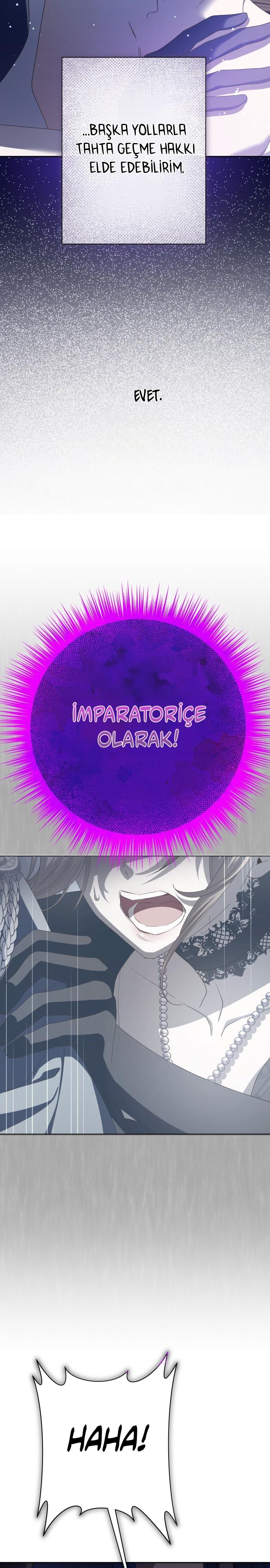 33-cmc1vvo430025phxcd4xhnki2