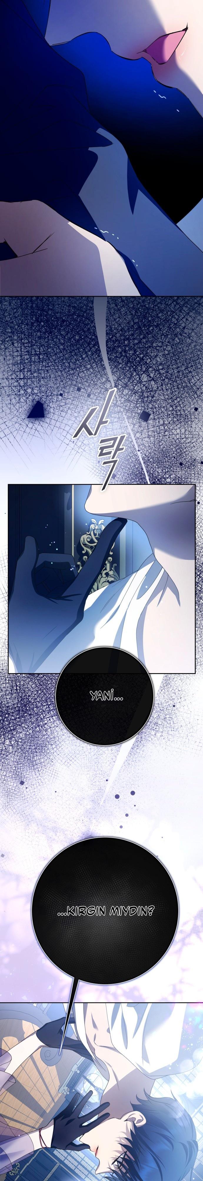 5-cmc1vvo430025phxcd4xhnki2