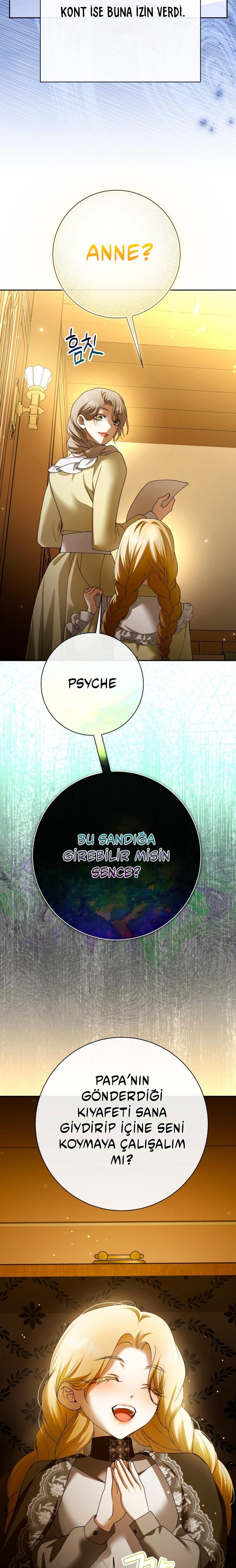 3-cmc1vvo430025phxcd4xhnki2