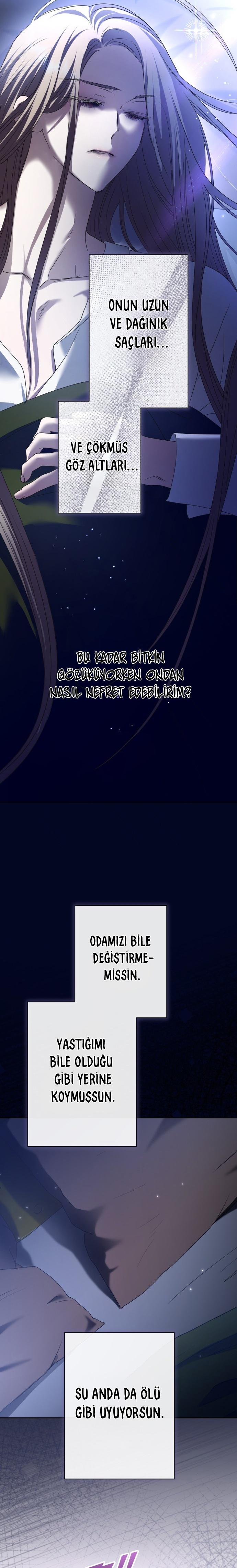 8-cmc1vvo430025phxcd4xhnki2