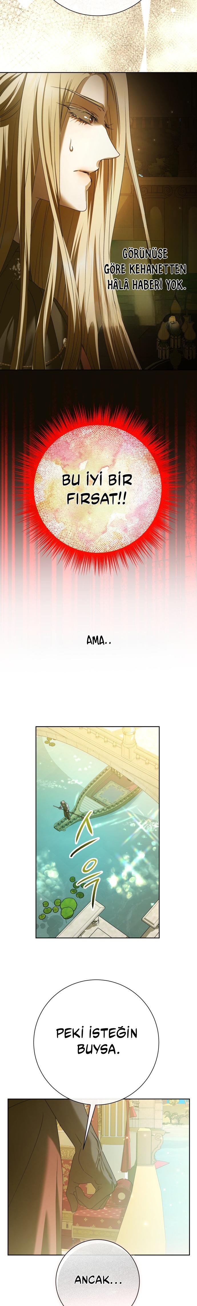 29-cmc1vvo430025phxcd4xhnki2