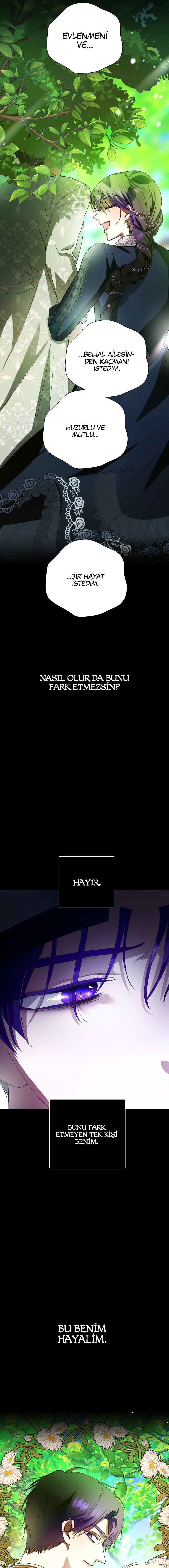 17-cmc1vvo430025phxcd4xhnki2