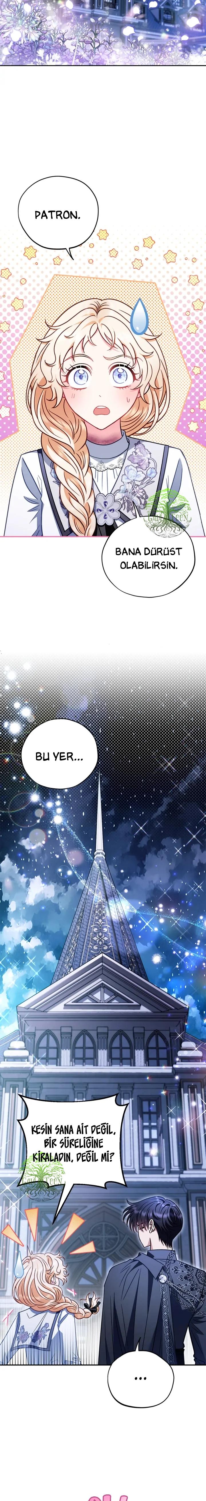 8-cmnr89xt50cr1ucwa727zlm0s