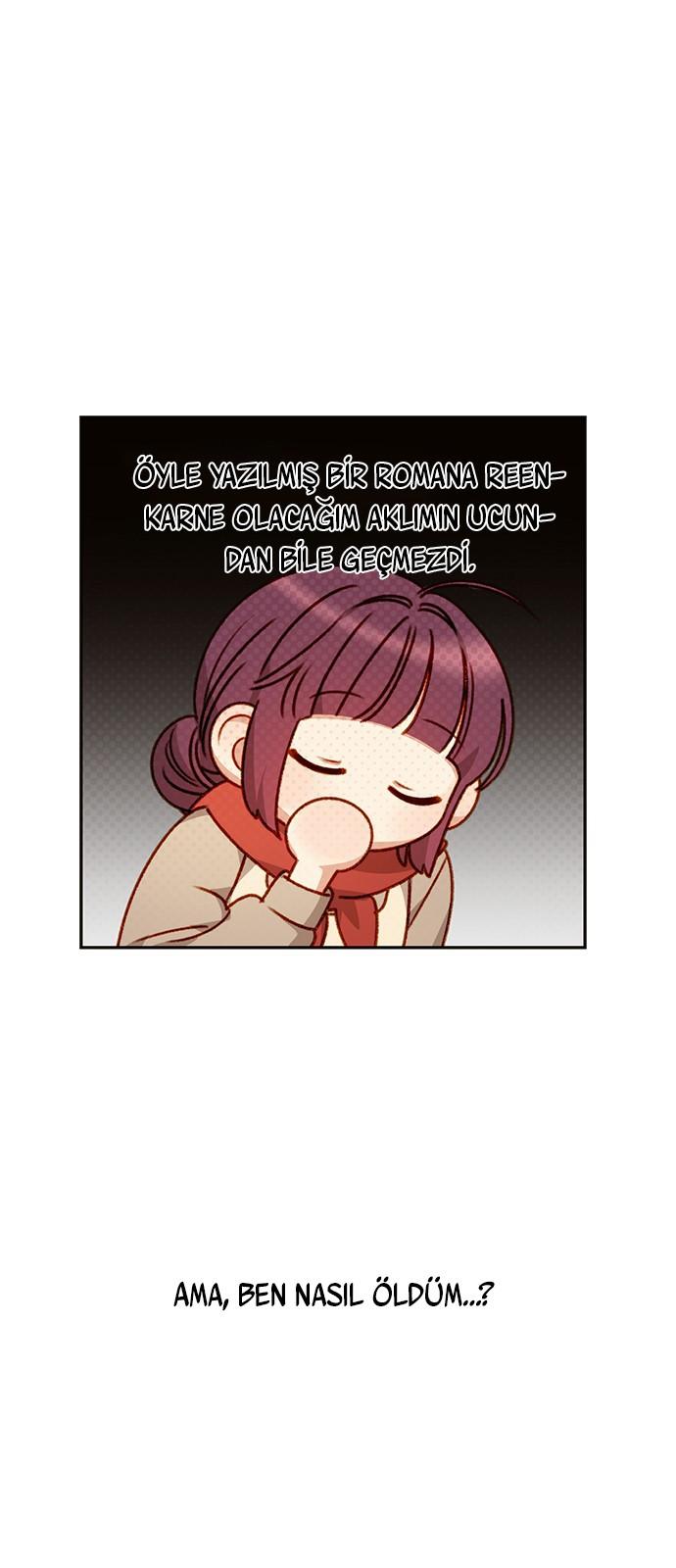 5-cmc1vvo430025phxcd4xhnki2
