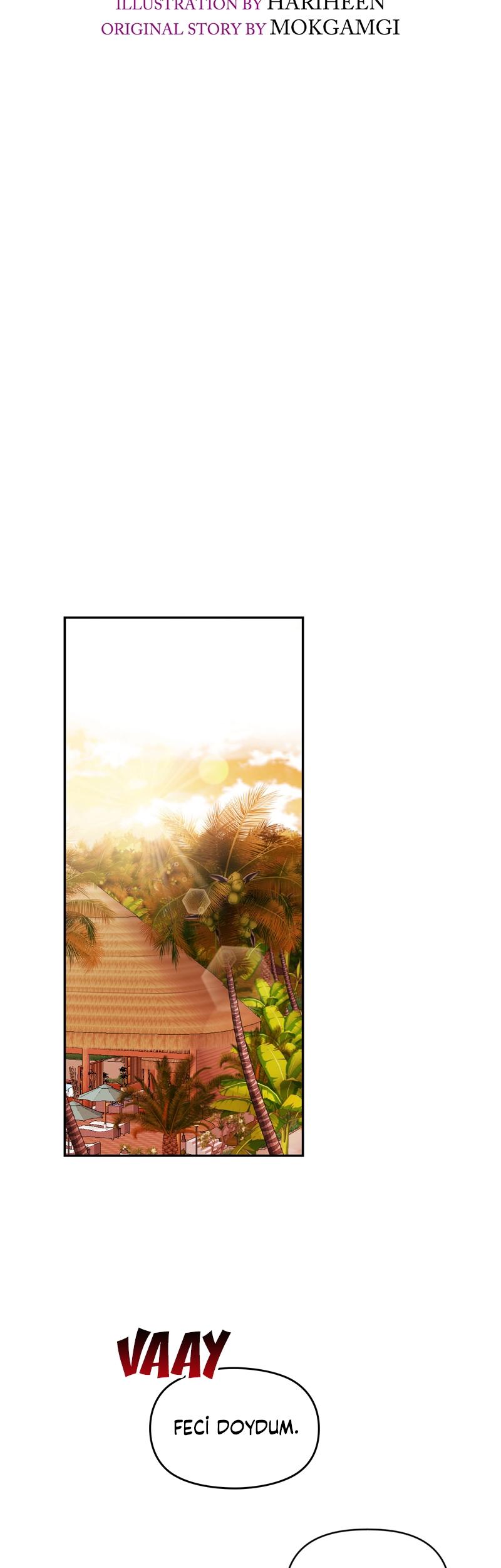7-cmc1vvo430025phxcd4xhnki2