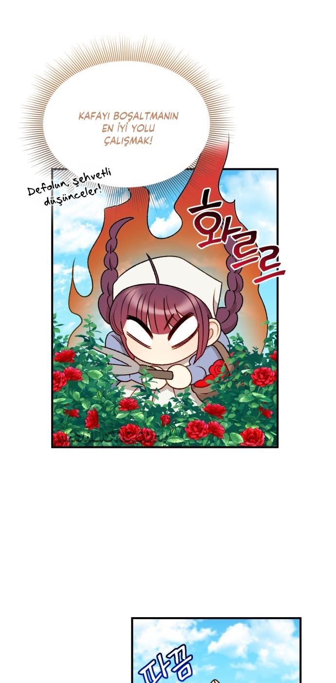 17-cmc1vvo430025phxcd4xhnki2