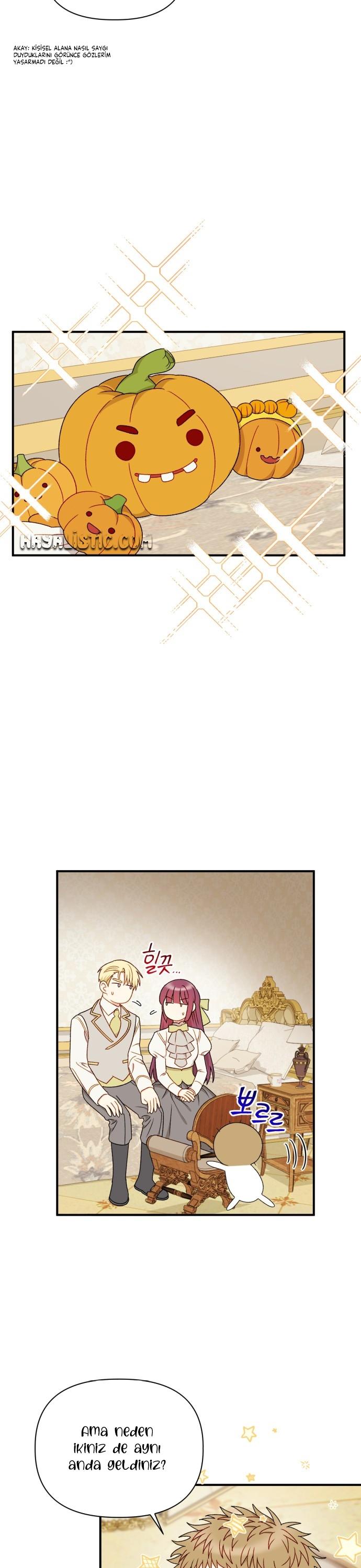 8-cmc1vvo430025phxcd4xhnki2