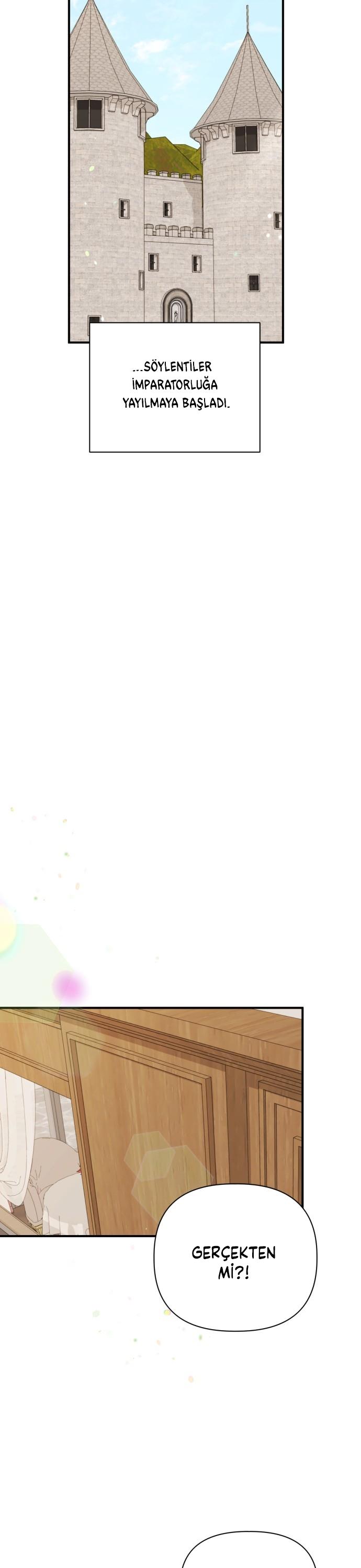 8-cmc1vvo430025phxcd4xhnki2