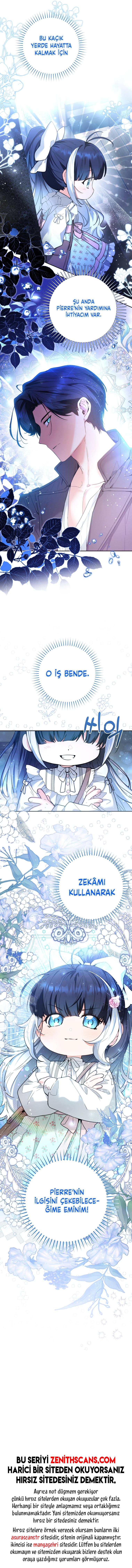 10-cmo49a8fe0uuyucwa9zyxlsnd