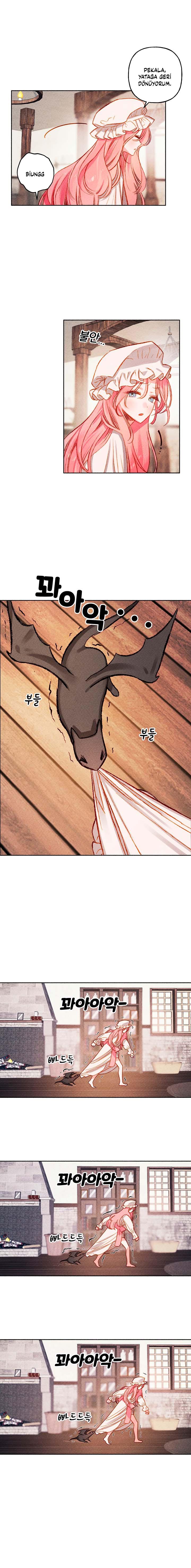 11-cmc1vvo430025phxcd4xhnki2