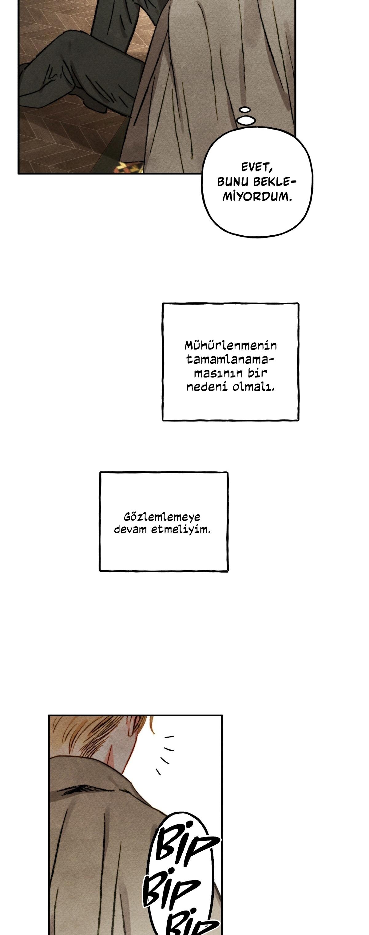7-cmc1vvo430025phxcd4xhnki2