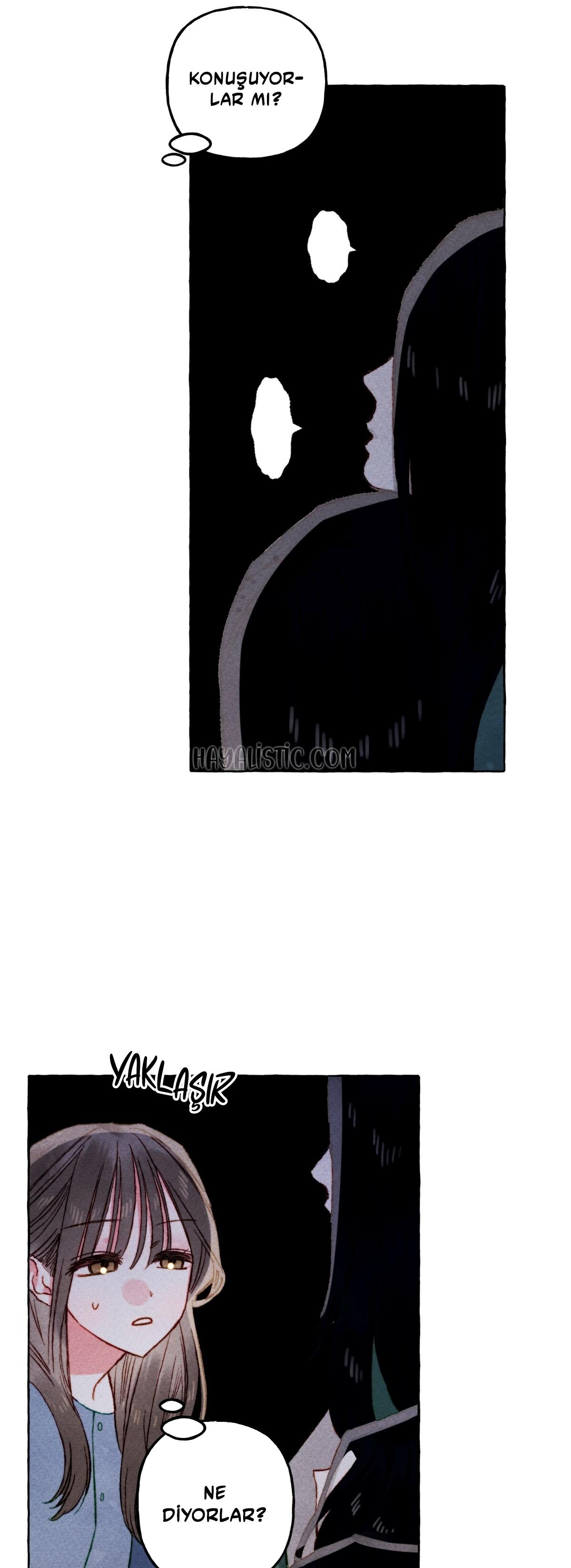 5-cmc1vvo430025phxcd4xhnki2