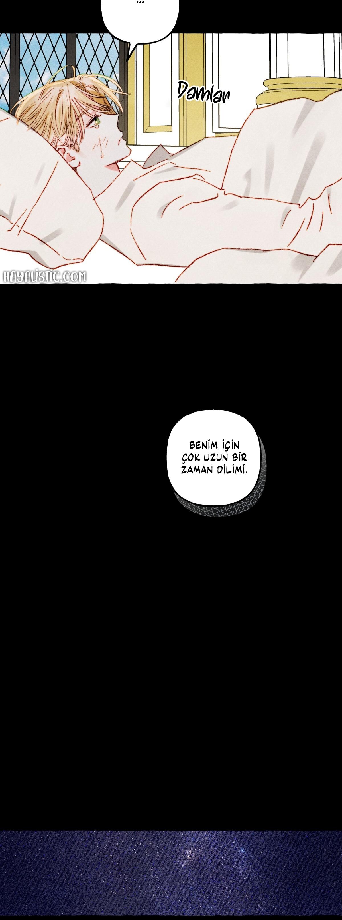 5-cmc1vvo430025phxcd4xhnki2
