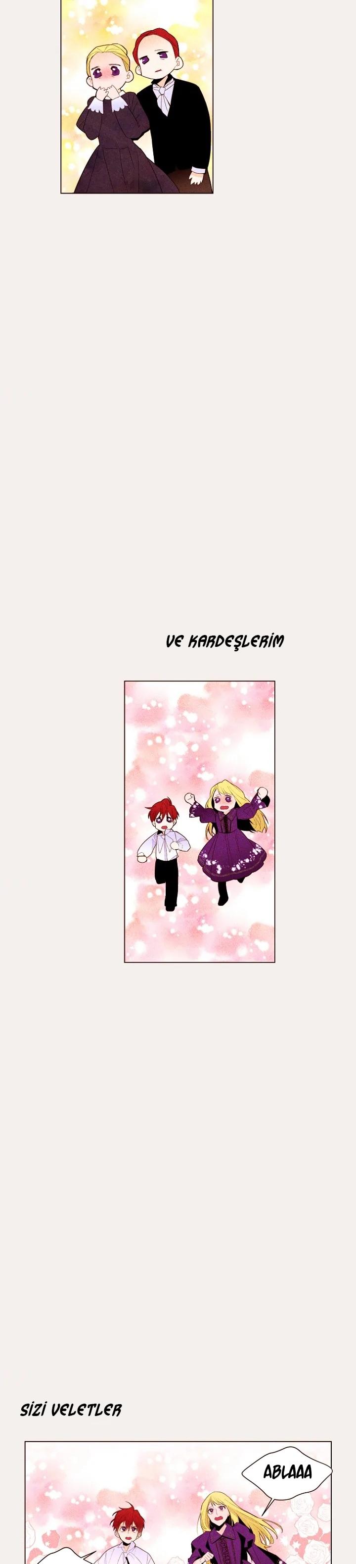 12-cmc1vvo430025phxcd4xhnki2