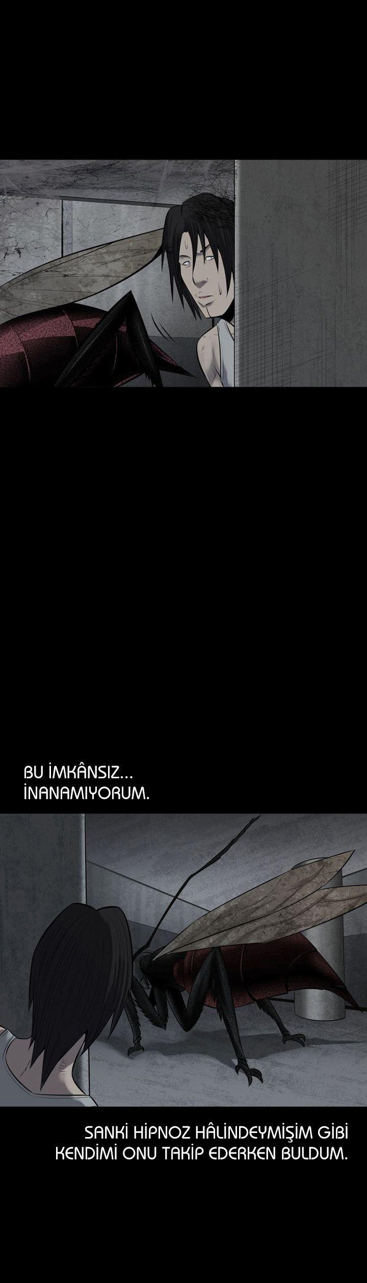 19-cmnq2268807i4ucwa0pciz3a1