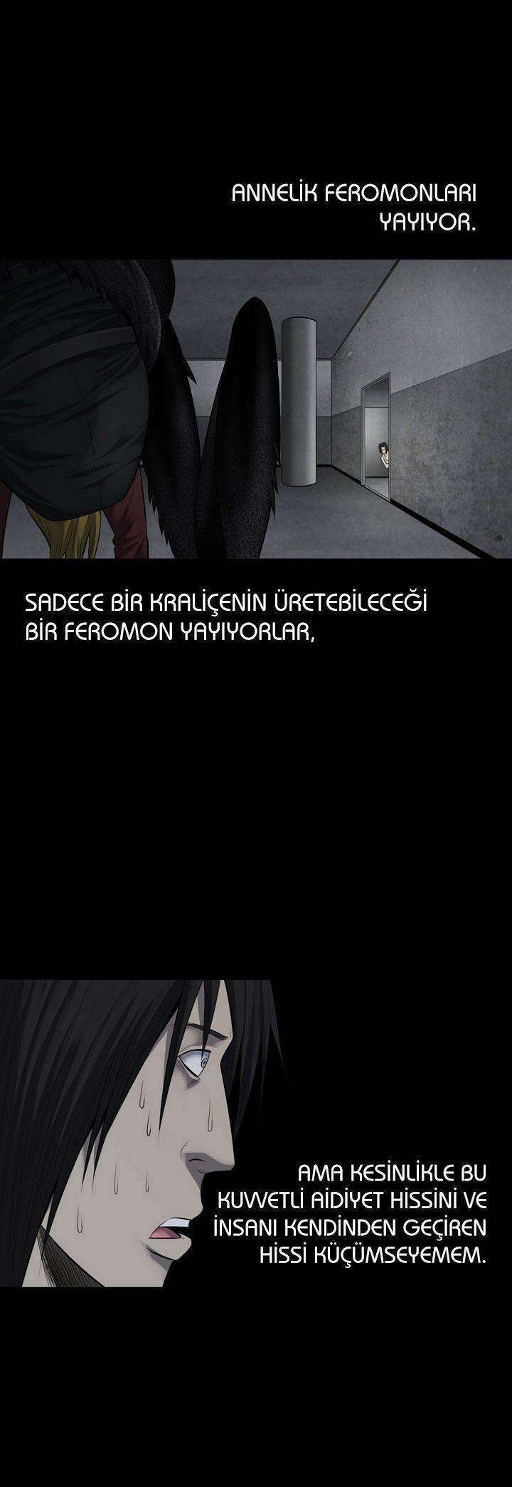 20-cmnq2268807i4ucwa0pciz3a1