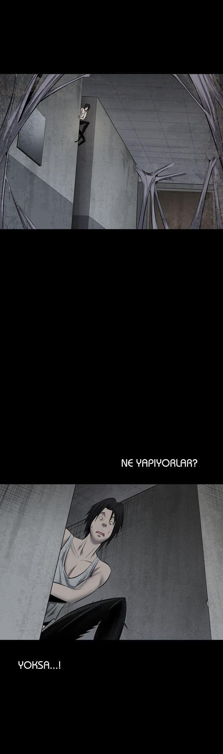 25-cmnq2268807i4ucwa0pciz3a1