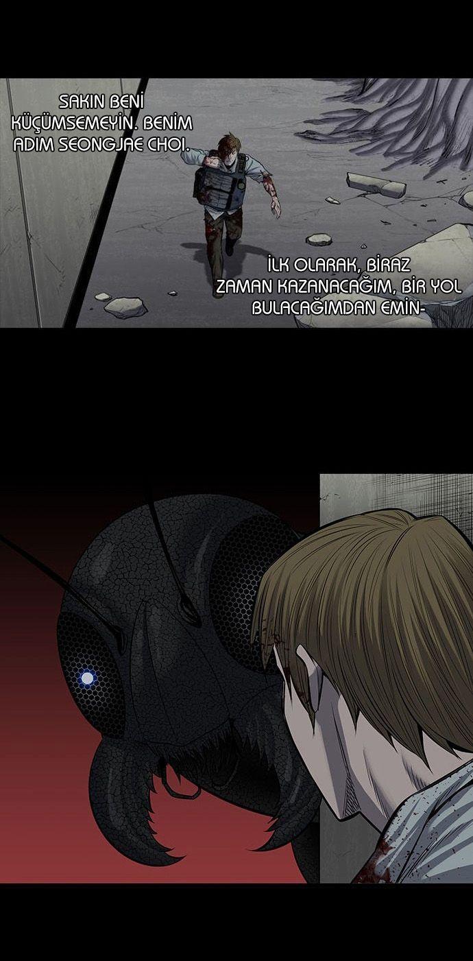 7-cmnq2268807i4ucwa0pciz3a1