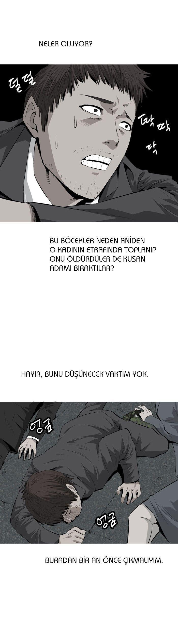 20-cmnq2268807i4ucwa0pciz3a1