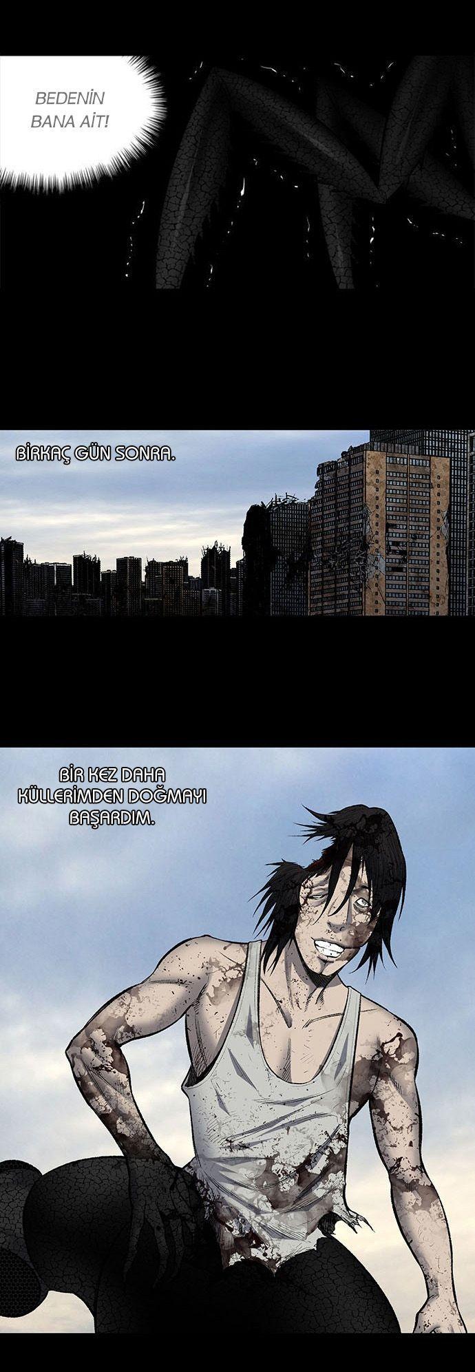 13-cmnq2268807i4ucwa0pciz3a1