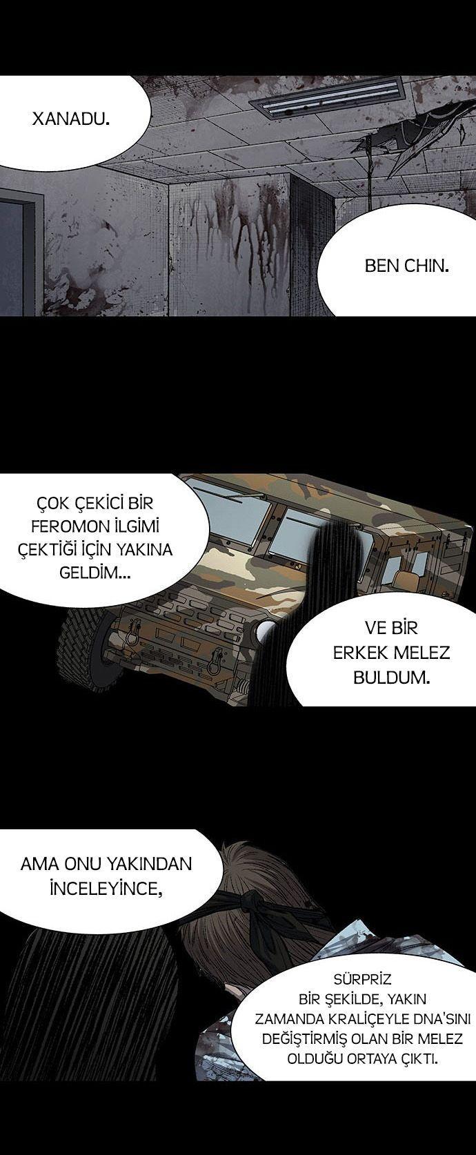 17-cmnq2268807i4ucwa0pciz3a1