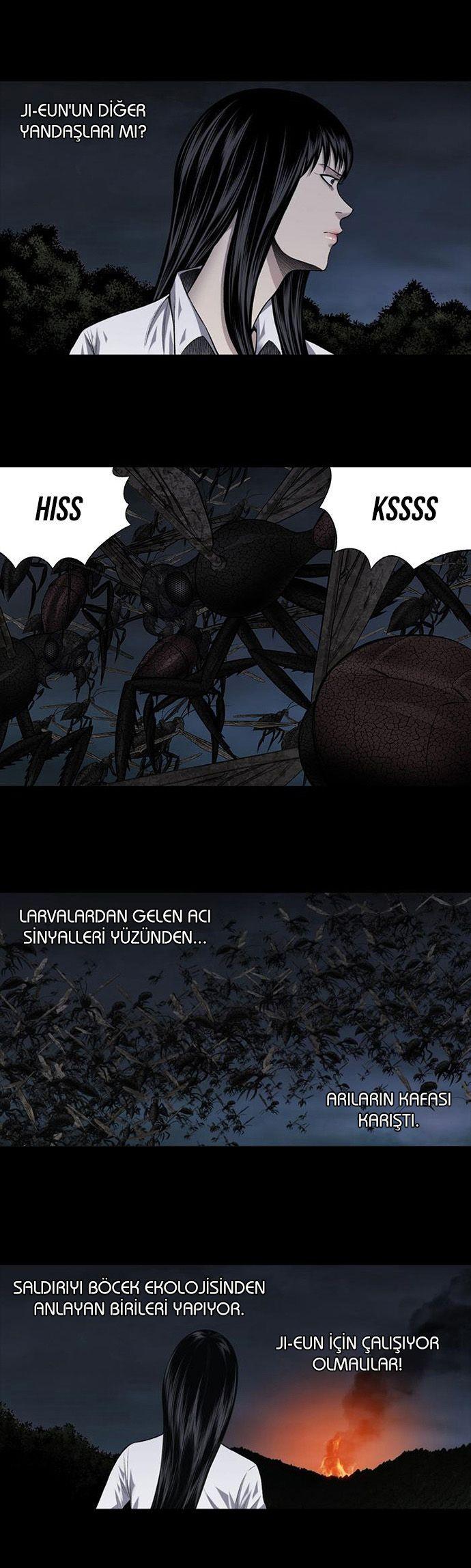 12-cmnq2268807i4ucwa0pciz3a1