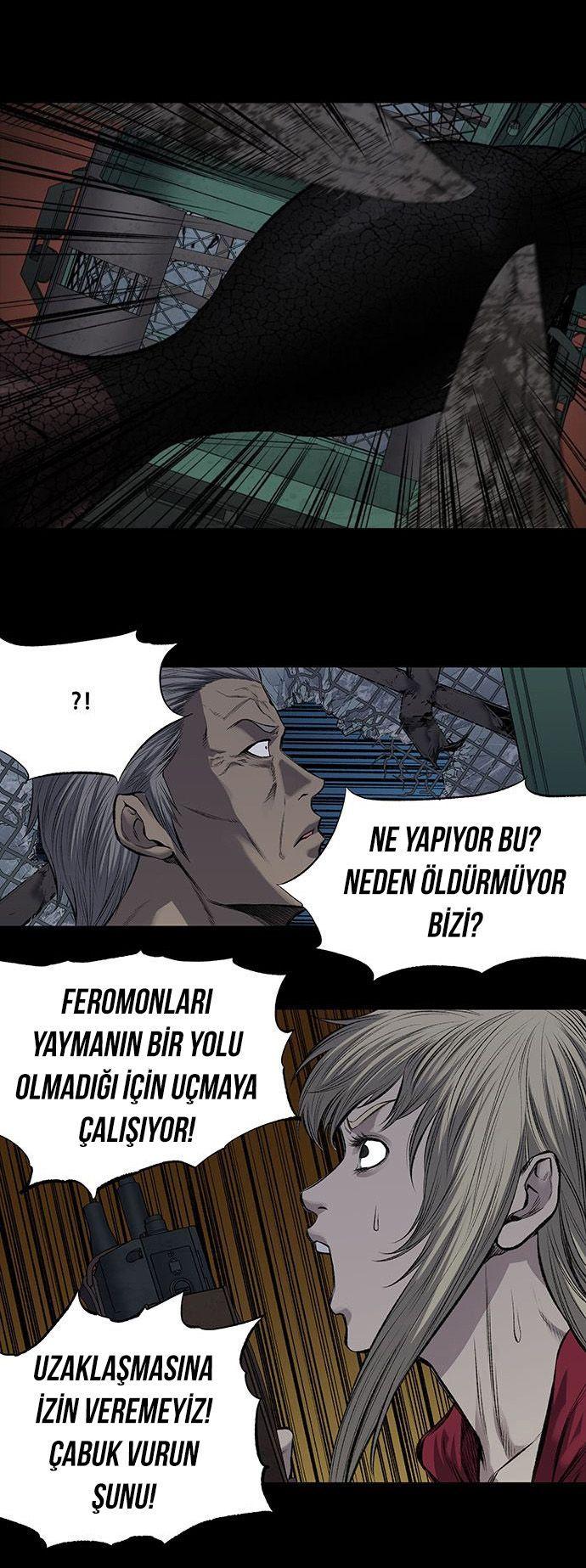 26-cmnq2268807i4ucwa0pciz3a1