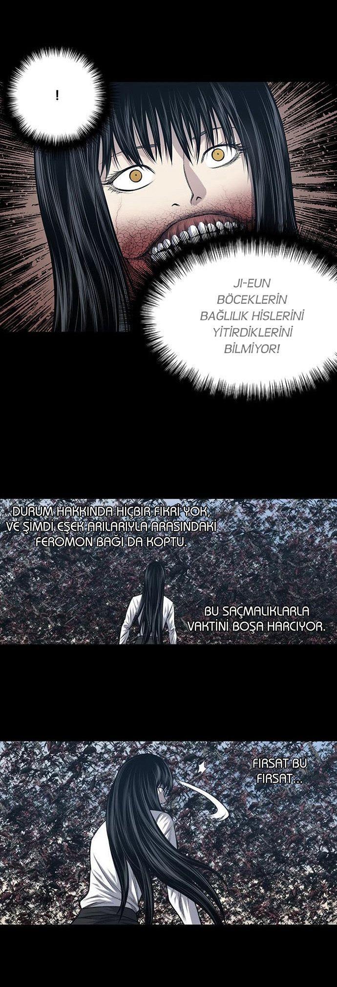 6-cmnq2268807i4ucwa0pciz3a1