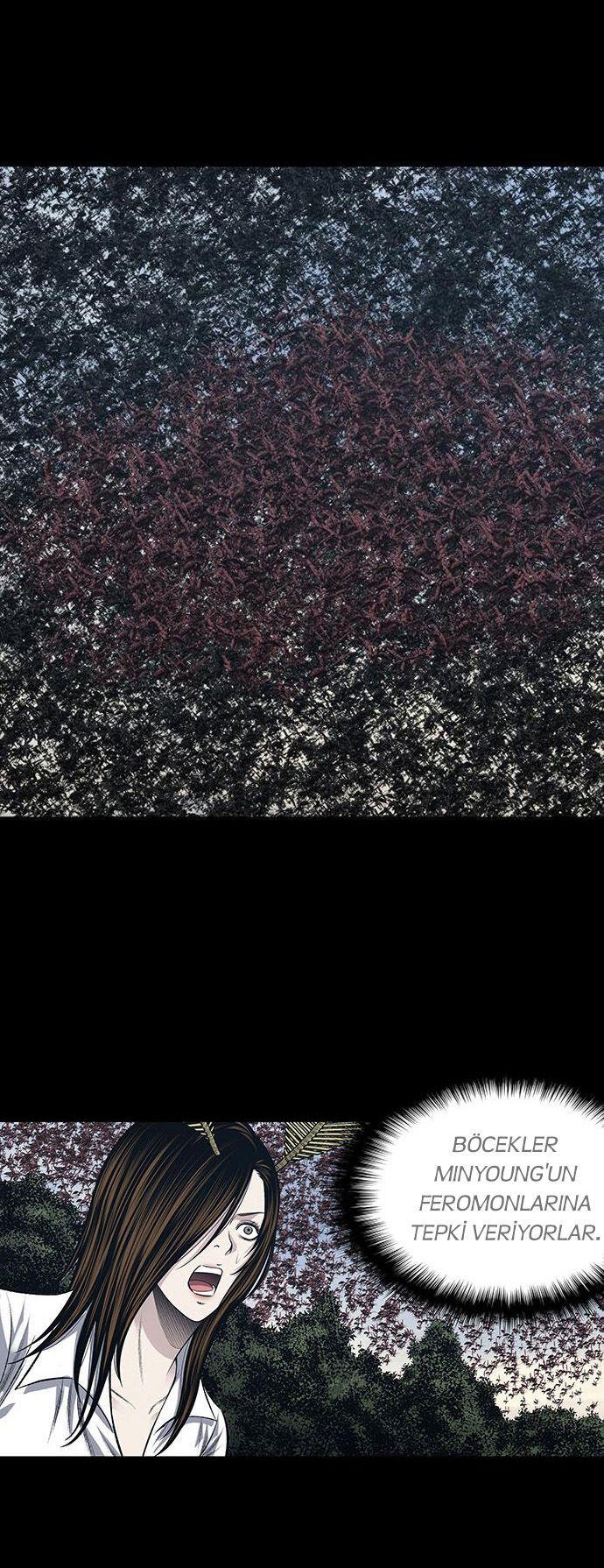 16-cmnq2268807i4ucwa0pciz3a1